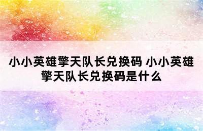 小小英雄擎天队长兑换码 小小英雄擎天队长兑换码是什么